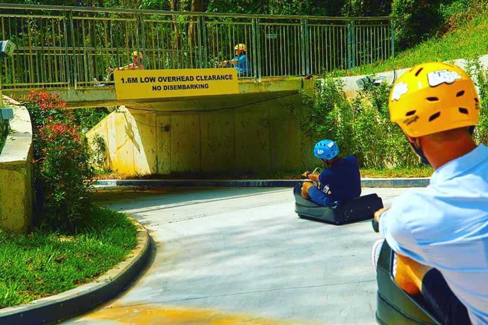 Skyline Luge Sentosa - Singapore - Image 4 of 5