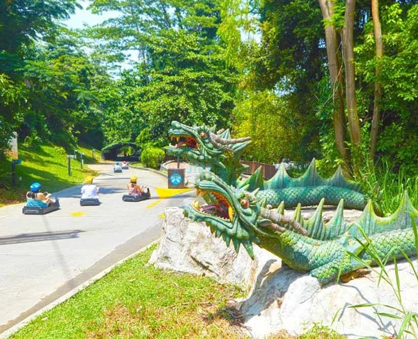 Skyline Luge Sentosa - Singapore - Image 5 of 5