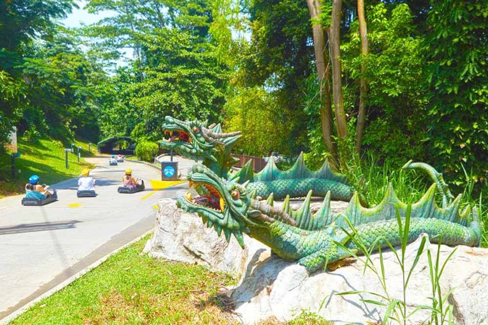 Skyline Luge Sentosa - Singapore - Image 5 of 8