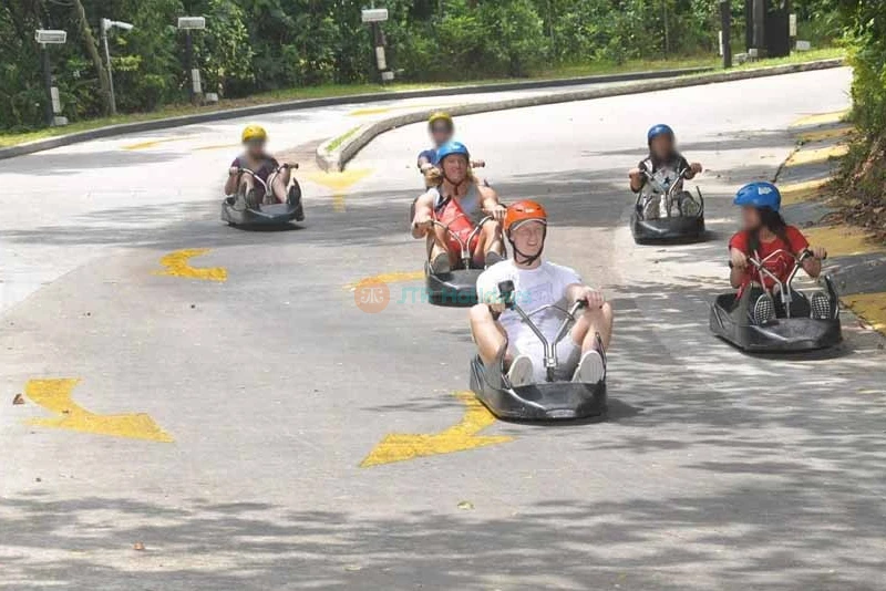 Skyline Luge Sentosa - Singapour - Image 6 of 8