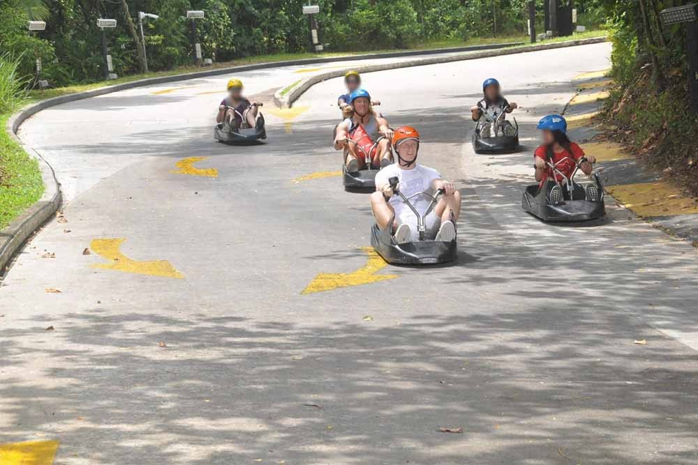Skyline Luge Sentosa - Singapore - Image 6 of 8