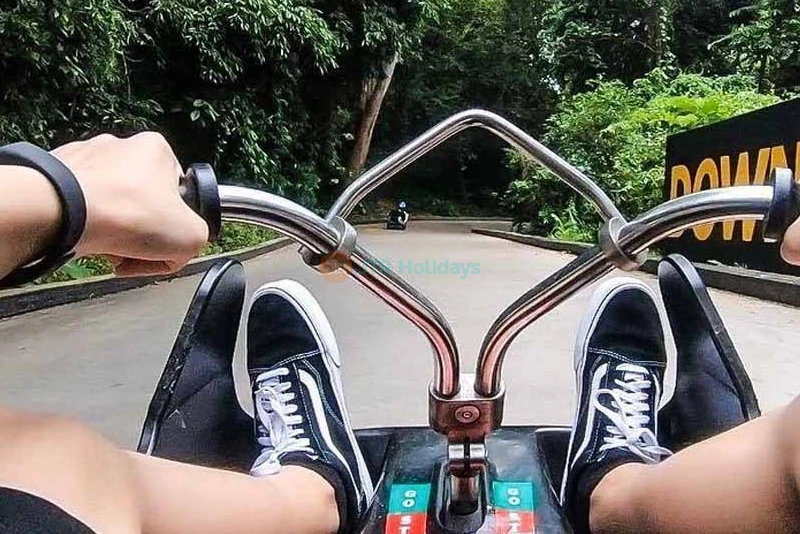 Skyline Luge Sentosa - Singapore - Image 8 of 8