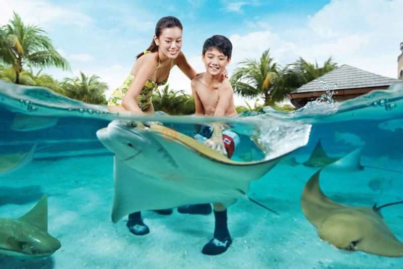 Adventure Cove Waterpark