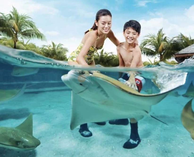 Adventure Cove Waterpark Tickets - Singapore Water Park - JTR Holidays - Image 2 of 5