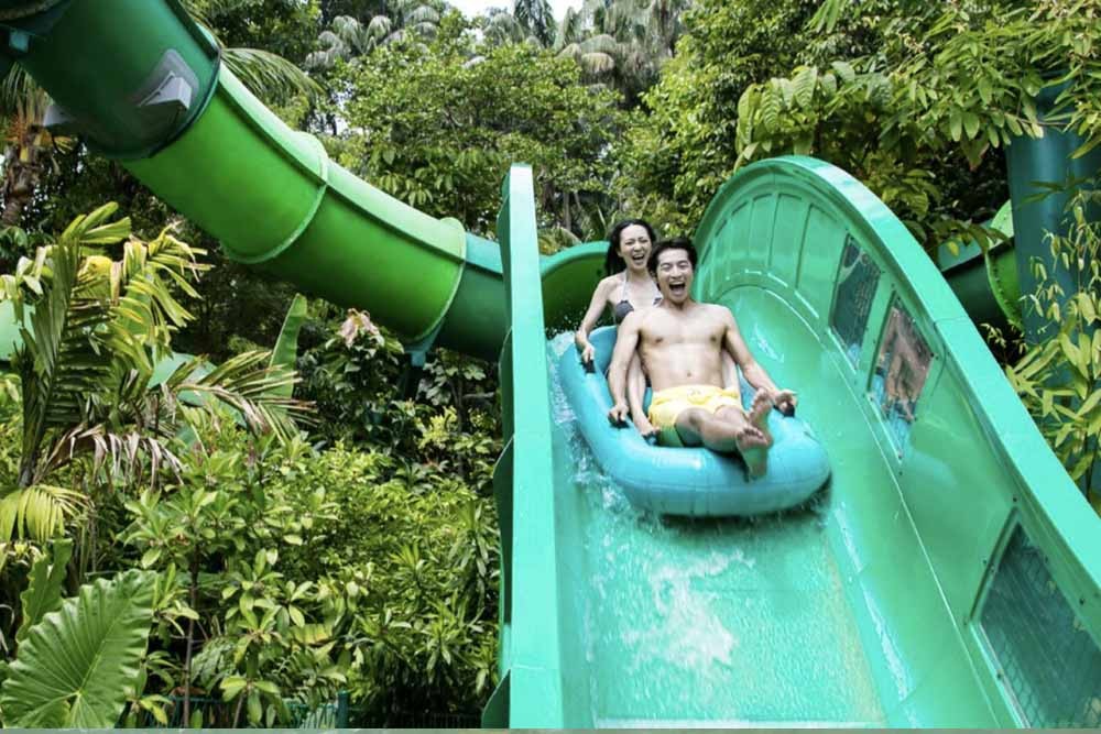 Adventure Cove Waterpark - Image 6 of 8