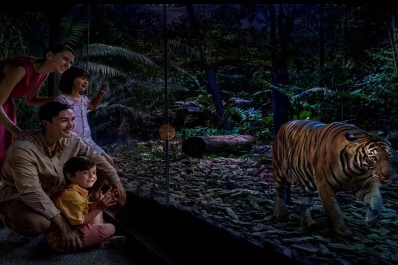 Singapore Night Safari