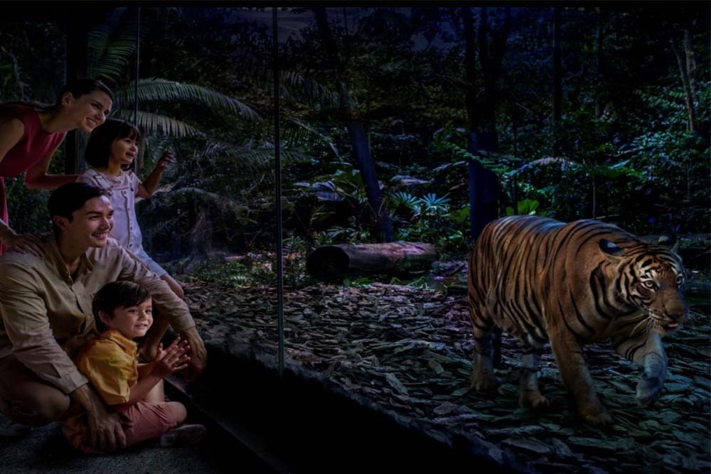 Singapore Night Safari - Experience the magic of the animal kingdom after dark at the Singapore Night Safari. Explore diverse habitats, encounter nocturnal creatures, and enjoy unique performances. Book your tickets for an unforgettable wildlife adventure Singapore Night Safari - Image 1 of 5