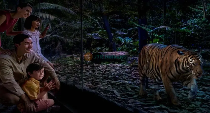 Singapur Night Safari - Image 1 of 12