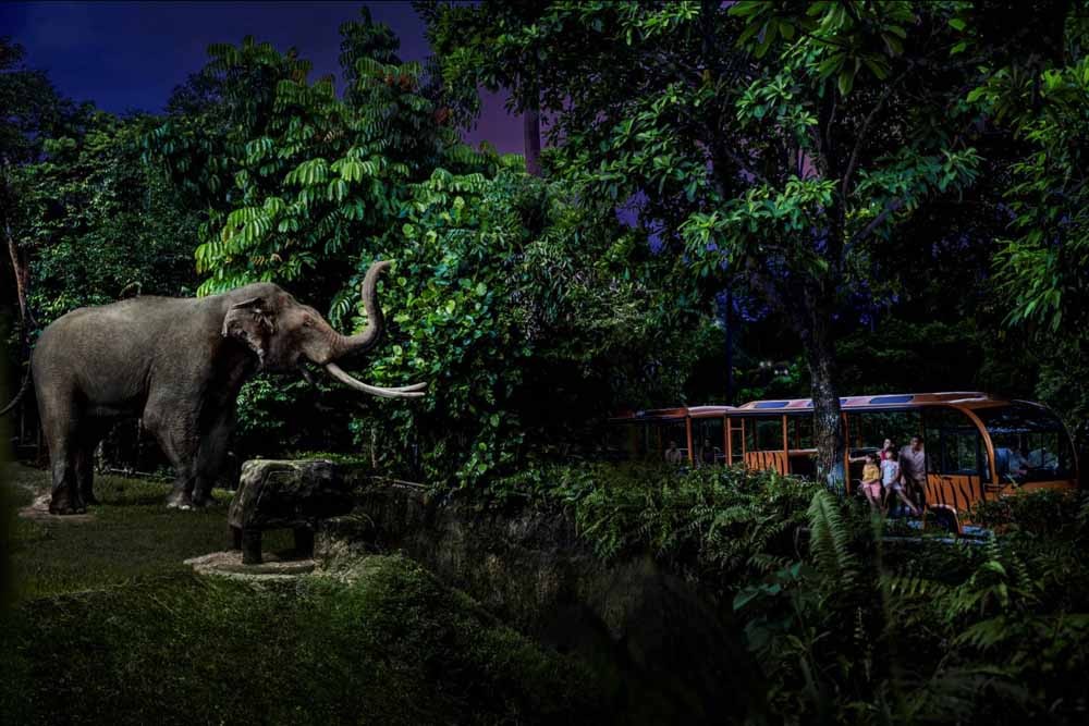 Safari nocturne de Singapour - Image 2 sur 5