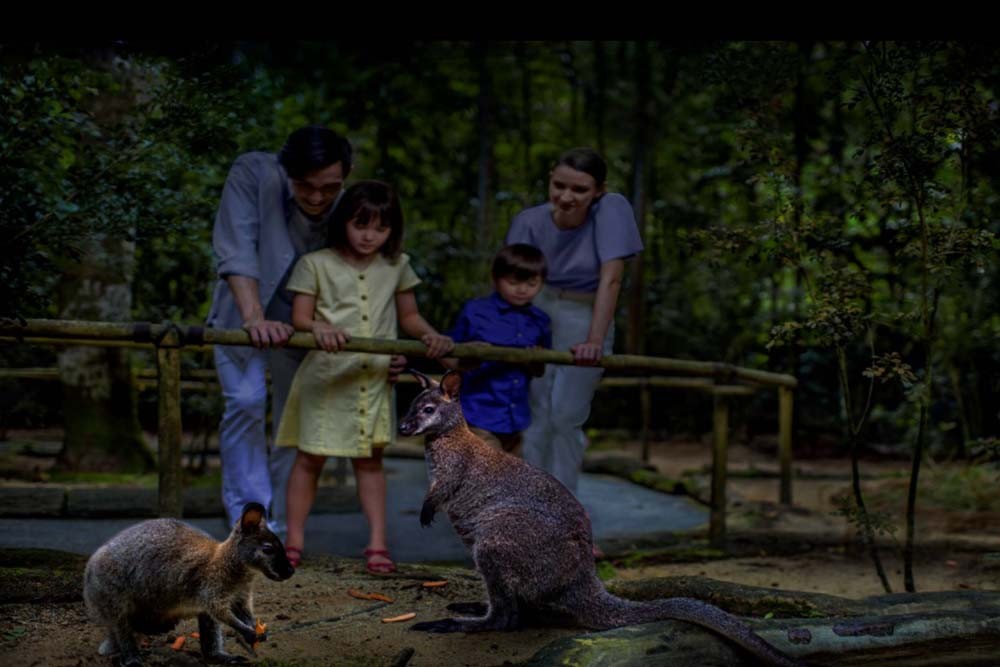 Singapore Night Safari - Mandai Wildlife Reserve Tickets Offer - JTR Holidays