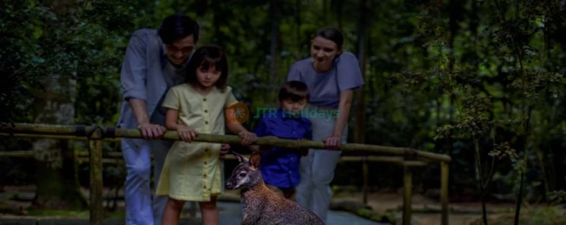 Singapur Night Safari - Erleben Sie die Magie des Tierreichs nach Einbruch der Dunkelheit bei der Singapur Night Safari. Erkunden Sie vielfältige Lebensräume, treffen Sie nachtaktive Tiere und genießen Sie einzigartige Darbietungen. Buchen Sie Ihre Tickets für ein unvergessliches Wildtierabenteuer. Singapur Night Safari - Bild 3 von 5