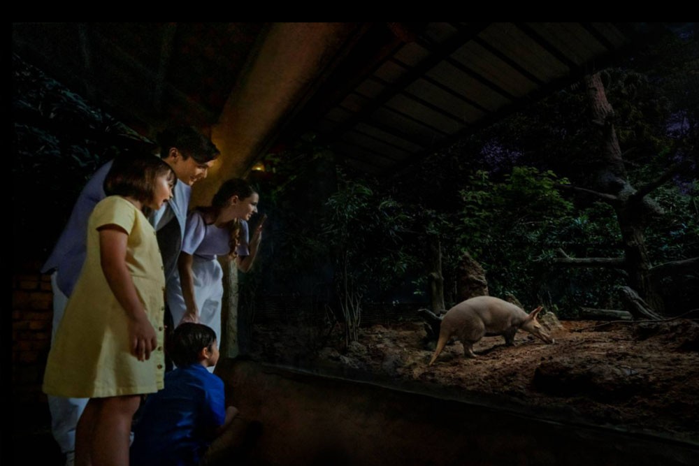 Safari nocturne de Singapour - Image 4 of 12