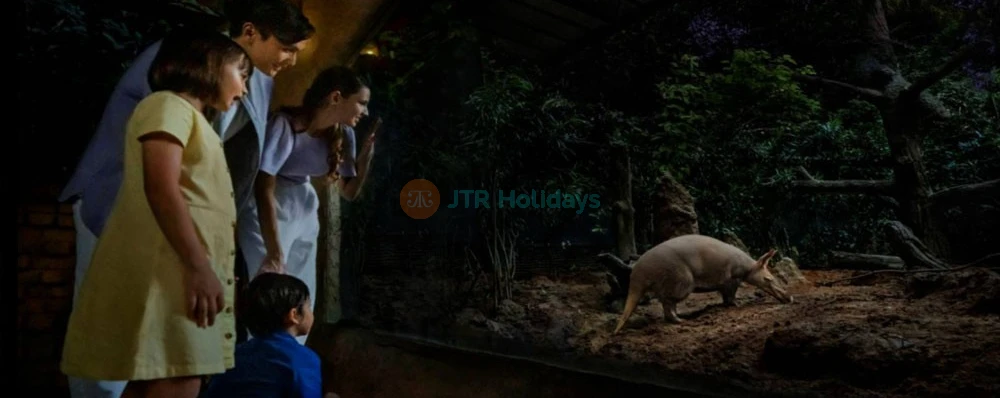 Singapore Night Safari - Image 4 of 5