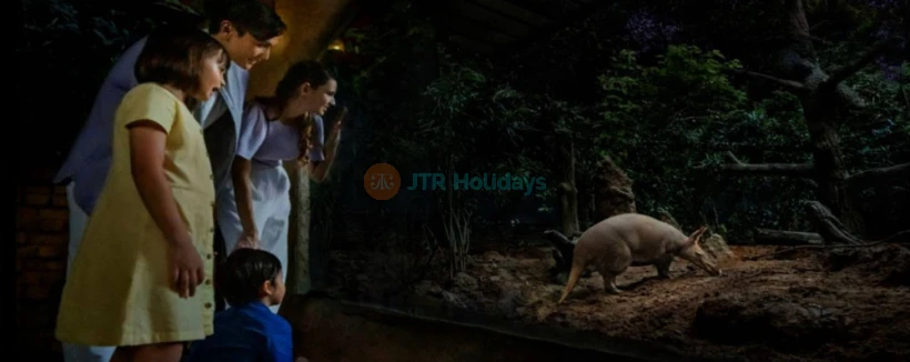 Singapur Night Safari - Erleben Sie die Magie des Tierreichs nach Einbruch der Dunkelheit bei der Singapur Night Safari. Erkunden Sie vielfältige Lebensräume, treffen Sie nachtaktive Tiere und genießen Sie einzigartige Darbietungen. Buchen Sie Ihre Tickets für ein unvergessliches Wildtierabenteuer. Singapur Night Safari - Bild 4 von 5