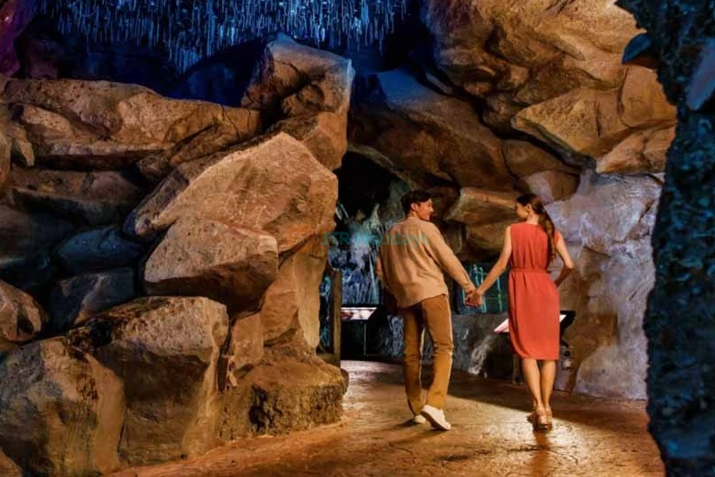 Singapore Night Safari - Image 6 of 12