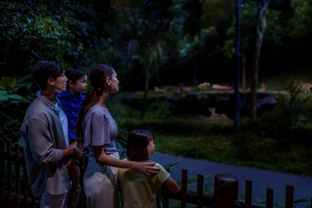 Safari nocturne de Singapour - Image 7 of 12