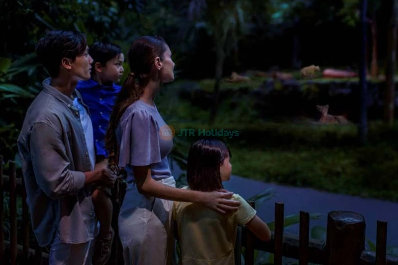 Singapore Night Safari - Image 7 of 12