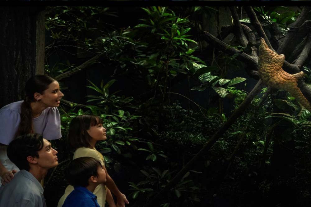 Safari nocturne de Singapour - Image 8 of 12