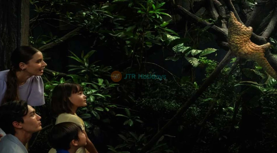 Singapore Night Safari - Image 8 of 12