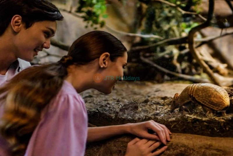 Singapore Night Safari - Image 9 of 12