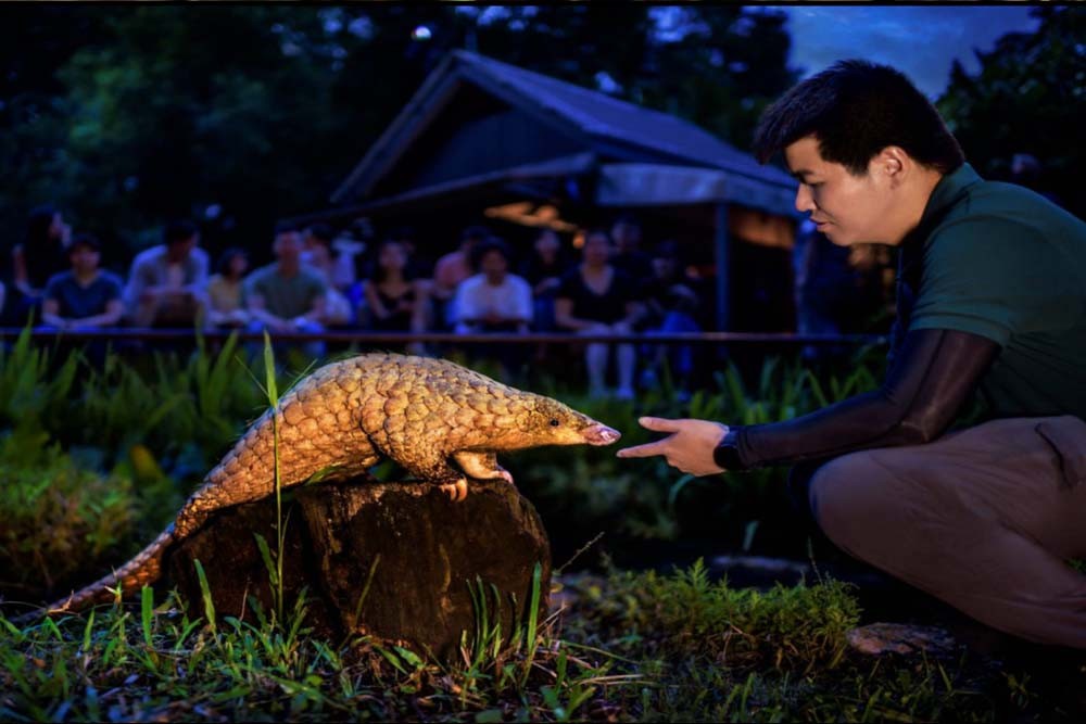 Safari nocturne de Singapour - Image 10 of 12
