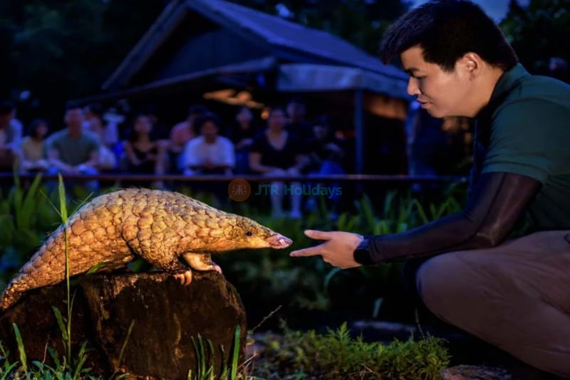 Singapore Night Safari - Image 10 of 12