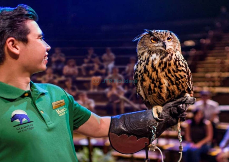 Singapore Night Safari - Image 11 of 12