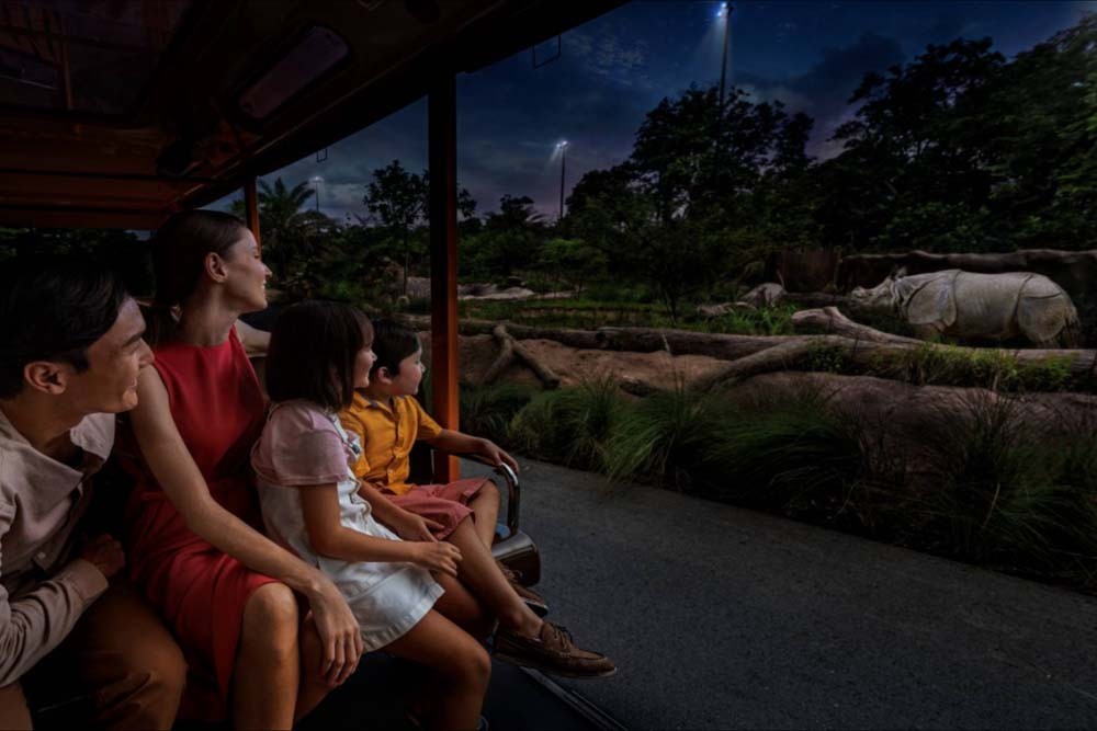 Safari nocturne de Singapour - Image 12 of 12