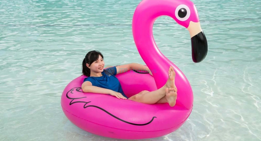 Wild Wild Wet Singapore - Image 1 of 5