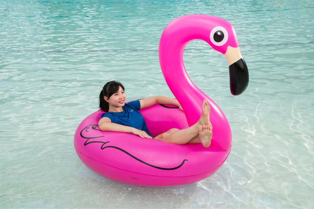 Уайлд Уайлд Вет Сингапур - Изображение 1 из 5