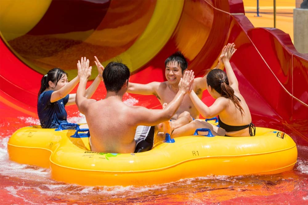 Уайлд Уайлд Вет Сингапур - Изображение 2 из 5