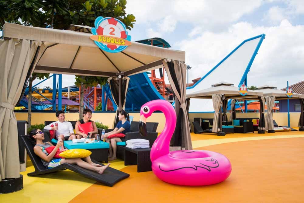 Уайлд Уайлд Вет Сингапур - Image 8 of 10