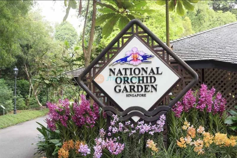 National Orchid Garden - Singapore