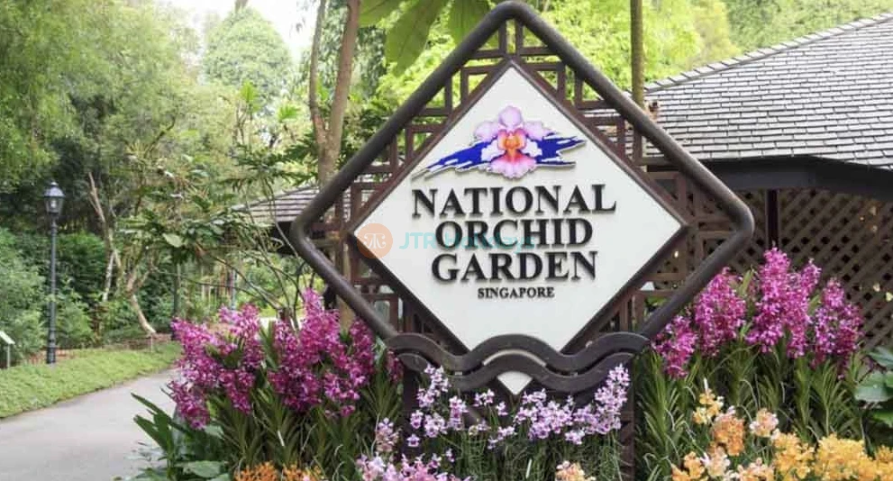 National Orchid Garden - Singapore - Image 1 of 5