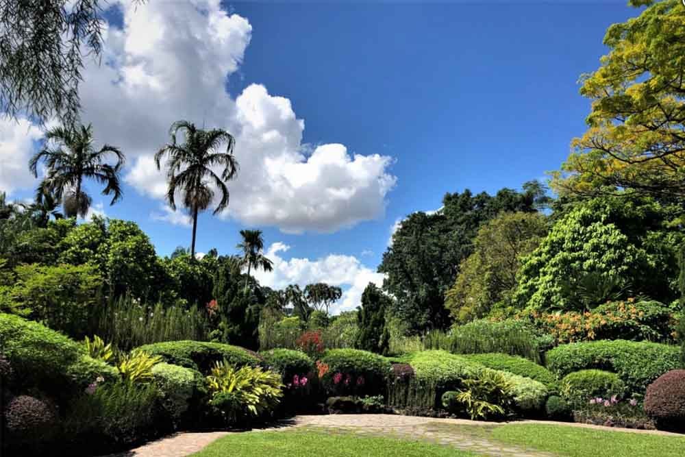 Jardin national des orchidées - Singapour - Image 2 sur 5