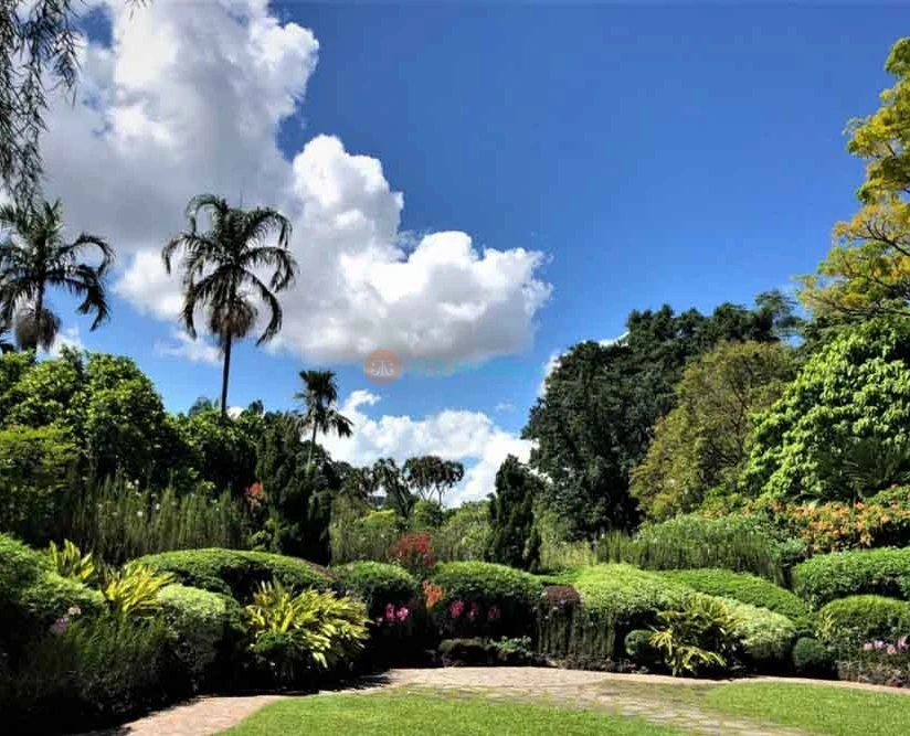 National Orchid Garden - Singapore Tickets and Offer - JTR Holidays - Image 2 of 5