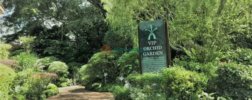 National Orchid Garden - Singapore - Image 4 of 5