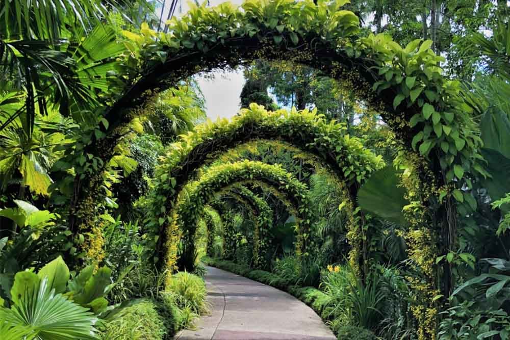 Jardin national des orchidées - Singapour - Image 5 sur 5