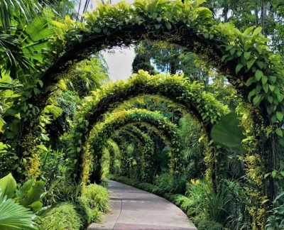 National Orchid Garden - Singapore - Image 5 of 5