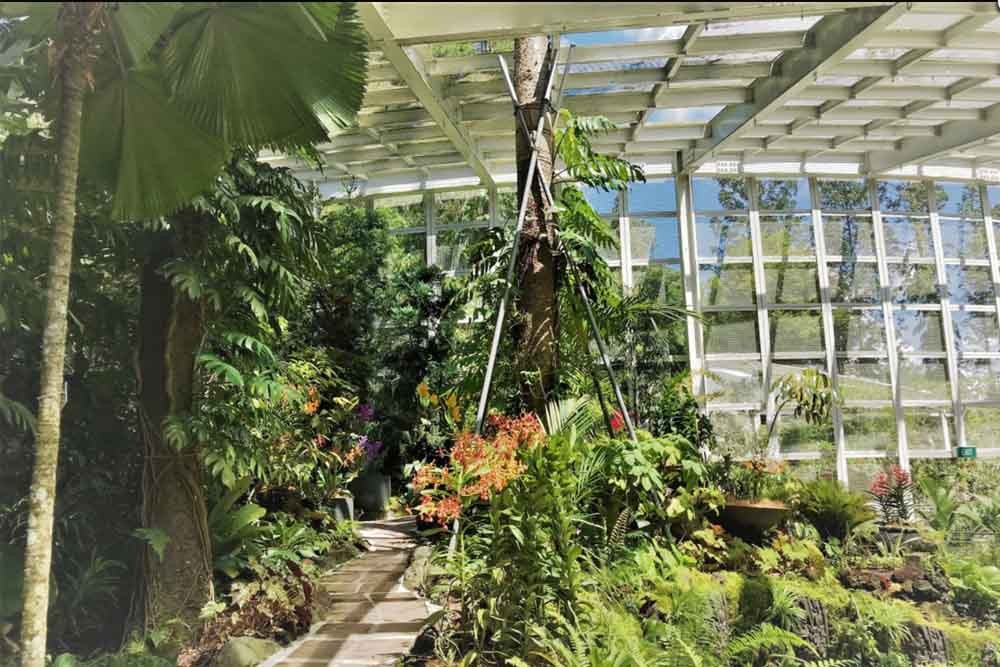 الحديقة الوطنية للأوركيد - سنغافورة - Image 8 of 8