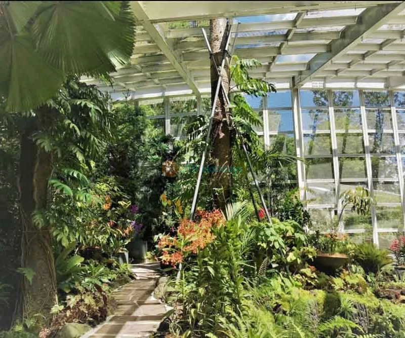 National Orchid Garden - Singapore Tickets and Offer - JTR Holidays - Image 8 of 8