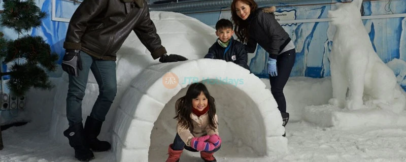 Snow City Singapore - Snow City is Singapore’s first permanent indoor snow centre. A family-centric attraction centre, Snow City receives an average patronage of some 250,000 visitors from around the world. Launched in June 2000 and revamped in 2007, the Snow City is owned and managed by Snow Venture Pte Ltd, a subsidiary of Science Centre Holdings Pte Ltd. It has a three-storey high and 60-metres long snow slope for visitors to snow tube. Snow City Singapore - Image 3 of 5