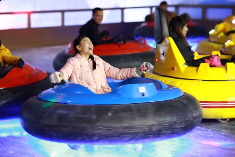 Snow City Singapore - Image 4 of 8