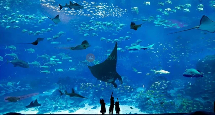 S.E.A. Aquarium Singapore - Sea Aquarium Tickets - JTR Holidays