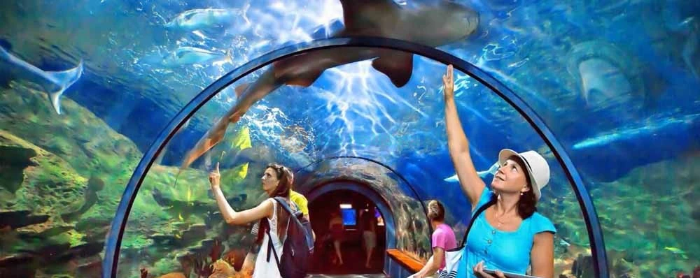 Singapore Oceanarium Ticket (formerly S.E.A. Aquarium) - Image 3 of 5