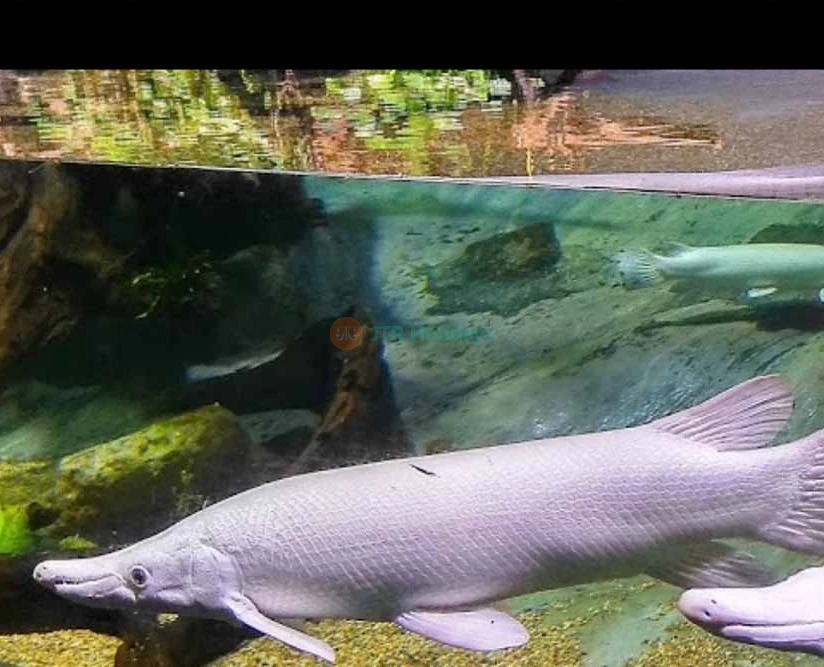 Singapore Oceanarium Ticket (formerly S.E.A. Aquarium) - Image 5 of 5