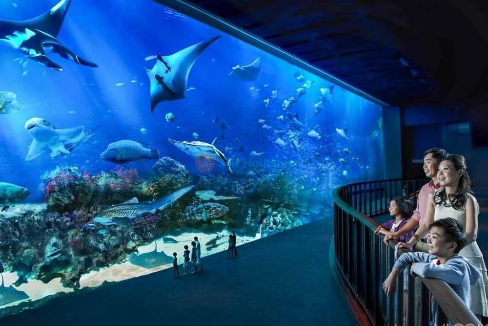 Singapore Oceanarium Ticket (formerly S.E.A. Aquarium) - Image 6 of 8