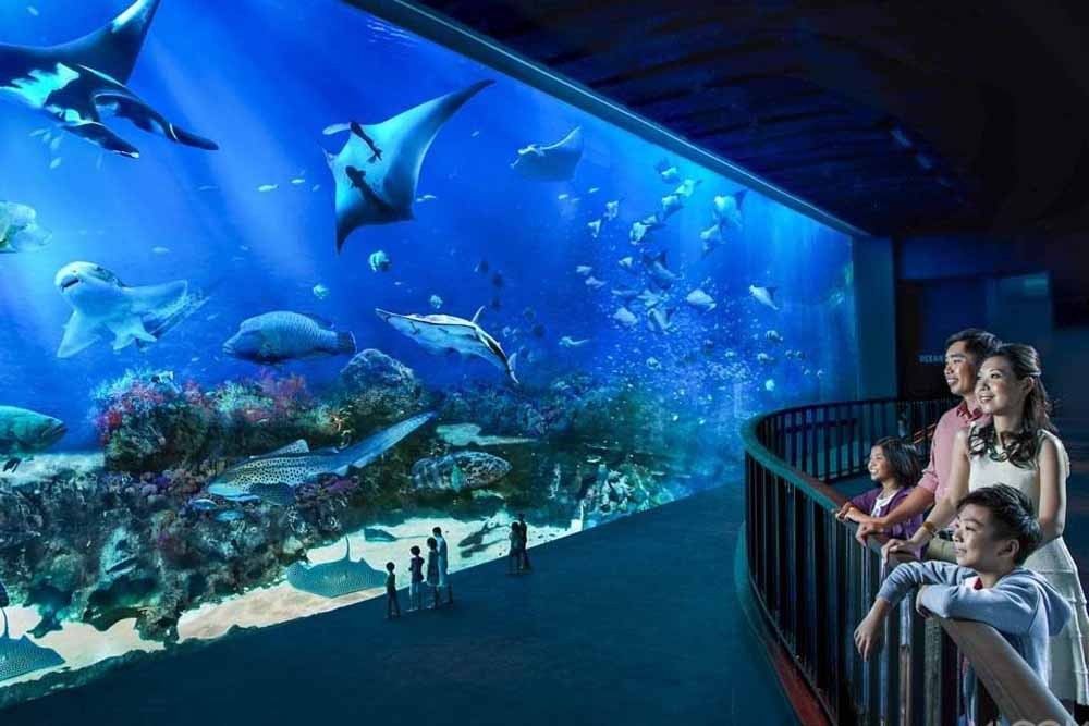 Билет в Сингапурский океанариум (ранее S.E.A. Аквариум) - Image 6 of 8