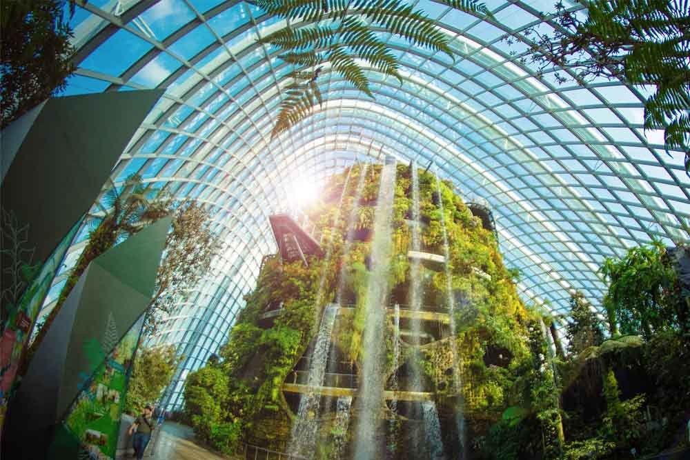 Entrada a Gardens by the Bay - Gardens by the Bay es el jardín nacional de Singapur y una atracción hortícola de primer nivel para visitantes locales e internacionales, Gardens by the Bay es una exhibición de horticultura y arte en jardines que presenta el reino vegetal de una manera totalmente nueva, entreteniendo mientras educa a los visitantes con plantas raramente vistas en esta parte del mundo, que van desde especies de climas fríos y templados hasta bosques tropicales y hábitats. Entrada a Gardens by the Bay - Imagen 1 de 5