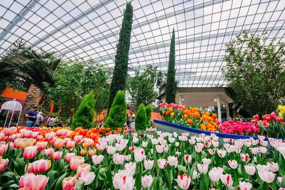 Gardens by the Bay Ticket - Image 3 of 5